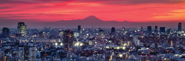 Tokyo: Tokyo Skyline Panorama At Sunset With View Of Mount Fuji by Jan Becke