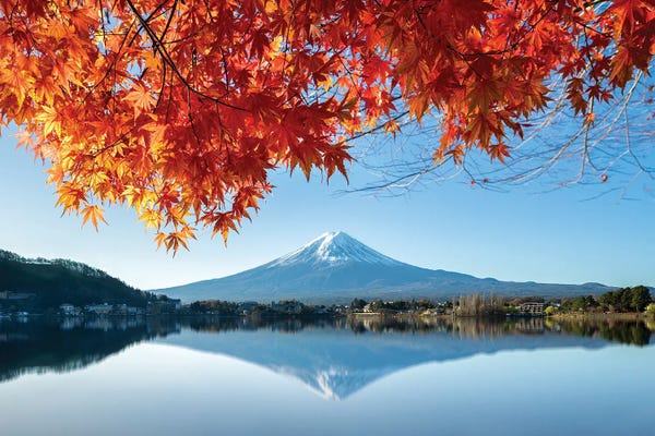 Mt.Fuji: Autumn Foliage With Mount Fuji, Lake Kawaguchiko, Japan by Jan Becke