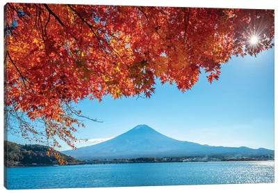 Mount Fuji At Lake Kawaguchiko In Autumn Canvas Art Print