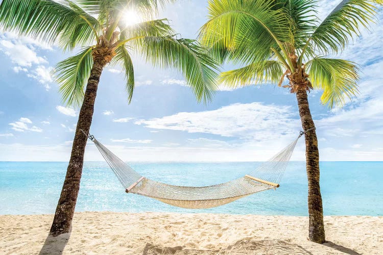 Relaxing Summer Vacation In A Hammock