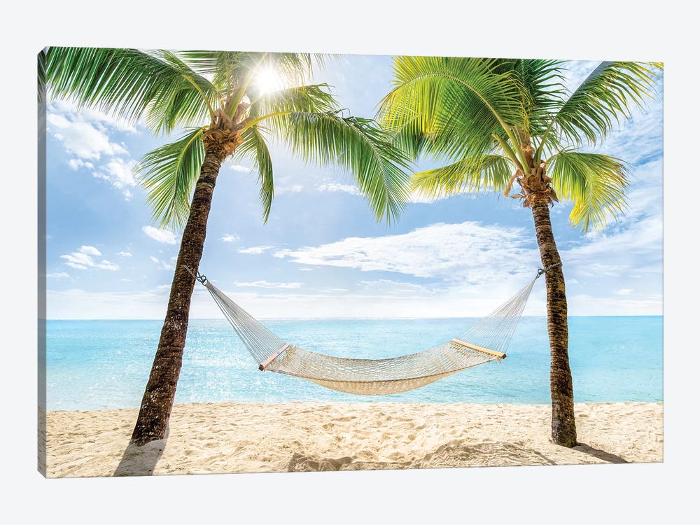 InterestPrint Micro Fleece Blanket Lightweight Cozy for Couch Bed 47 Inch Beautiful Beach Hammock Palm Trees