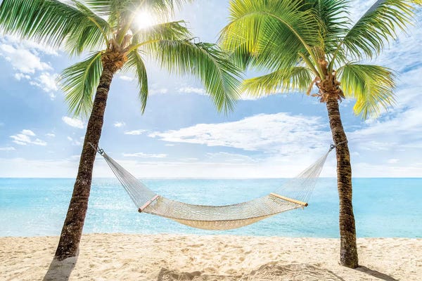 Oceania: Relaxing Summer Vacation In A Hammock by Jan Becke