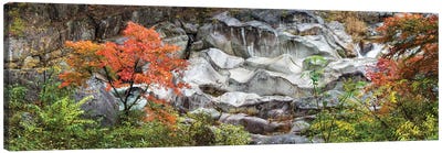 Shosenkyo Gorge National Park, Yamanashi Prefecture, Japan Canvas Art Print - Japan Art