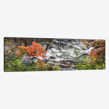 Shosenkyo Gorge National Park, Yamanashi Prefecture, Japan Canvas Print #JNB1643} by Jan Becke Canvas Art
