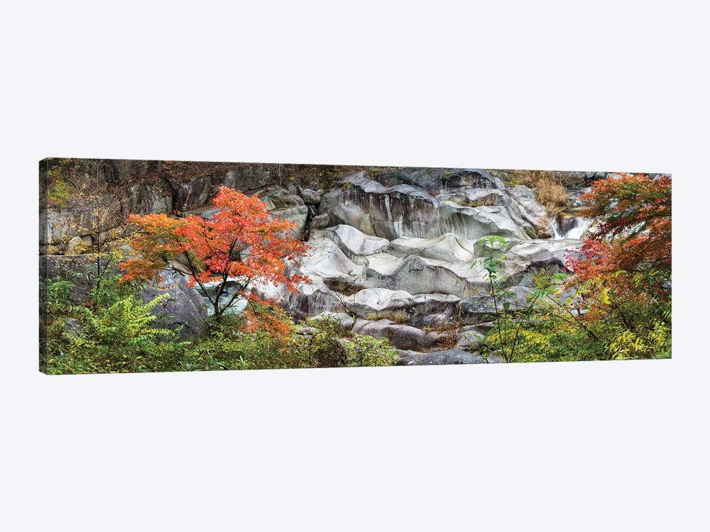 Shosenkyo Gorge National Park, Yamanashi Prefecture, Japan by Jan Becke 1-piece Canvas Art Print