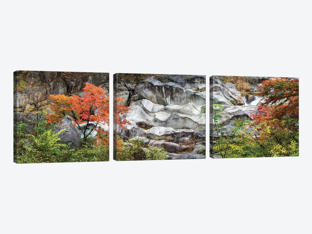 Shosenkyo Gorge National Park, Yamanashi Prefecture, Japan by Jan Becke 3-piece Canvas Print