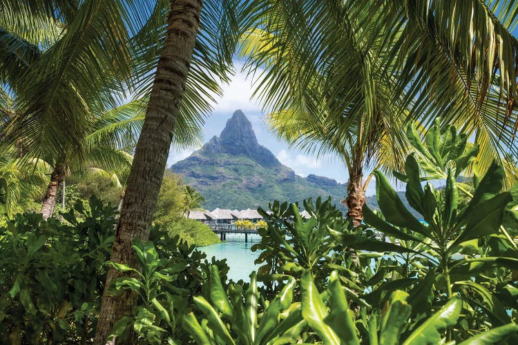 Mount Otemanu On Bora Bora, French Polynesia