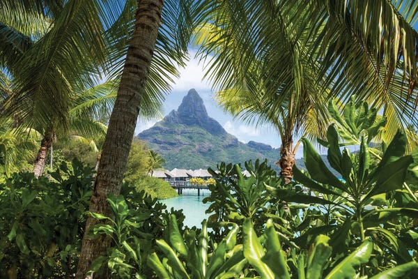Tropical Beaches: Mount Otemanu On Bora Bora, French Polynesia by Jan Becke