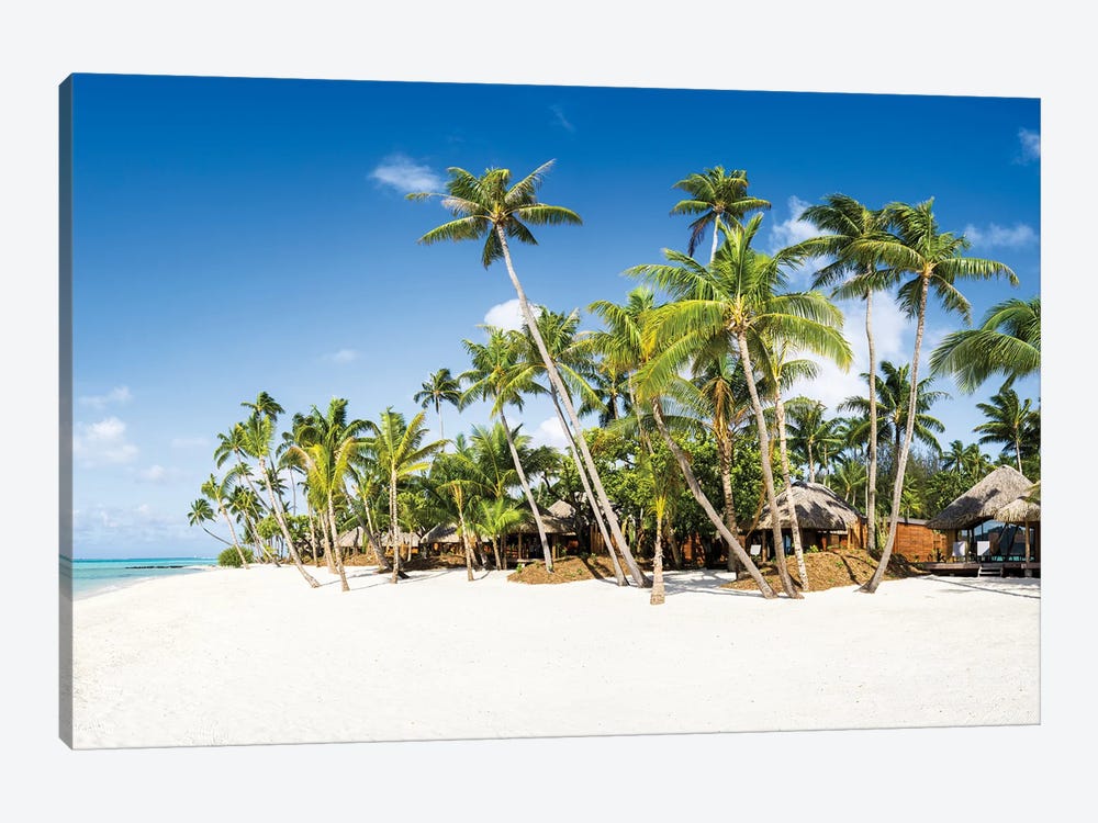 White Sand Beach With Palm Trees by Jan Becke 1-piece Canvas Print
