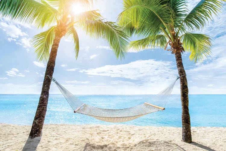 Relaxing In A Hammock At The Beach