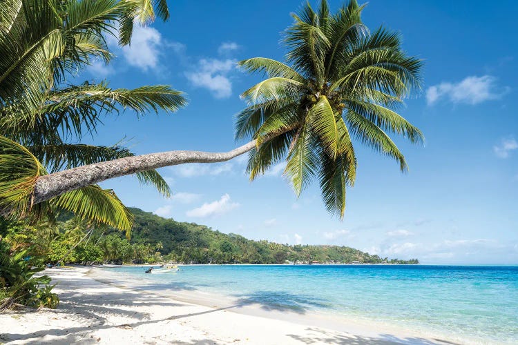 Matira Beach In Bora Bora, French Polynesia