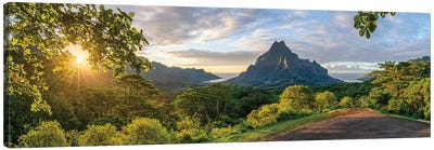 Belvedere Lookout With Mount Rotui At Sunset, Moorea, French Polynesia Canvas Art Print