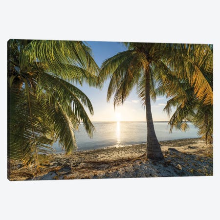 Sunset On The Palm Beach, South Seas, French Polynesia Canvas Print #JNB1686} by Jan Becke Canvas Art Print
