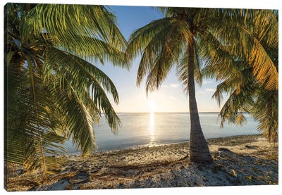 Sunset On The Palm Beach, South Seas, French Polynesia Canvas Art Print - Beach Sunrise & Sunset Art