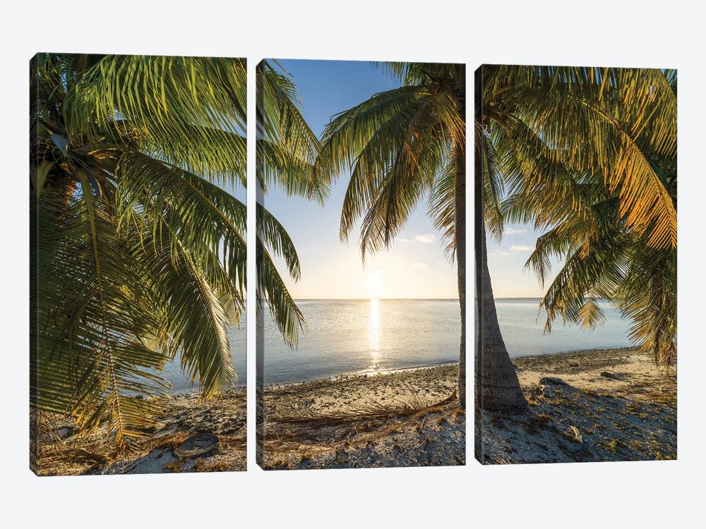 Sunset On The Palm Beach, South Seas, French Polynesia by Jan Becke 3-piece Canvas Wall Art