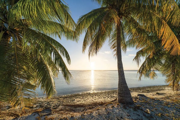 Beach Sunrises & Sunsets: Sunset On The Palm Beach, South Seas, French Polynesia by Jan Becke
