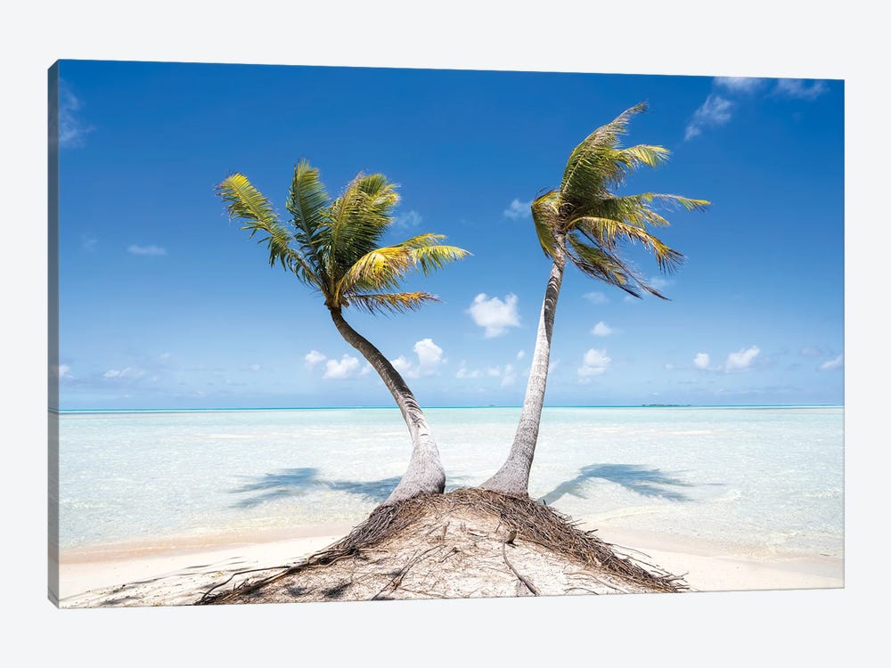Two Palm Trees At The Blue Lagoon, Fakarava Atoll, French Polynesia by Jan Becke 1-piece Canvas Print