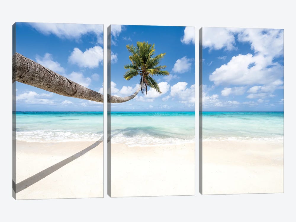 Hanging Palm Tree At The Beach by Jan Becke 3-piece Canvas Print