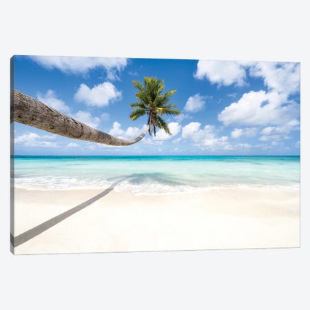 Hanging Palm Tree At The Beach Canvas Print #JNB1689} by Jan Becke Canvas Art