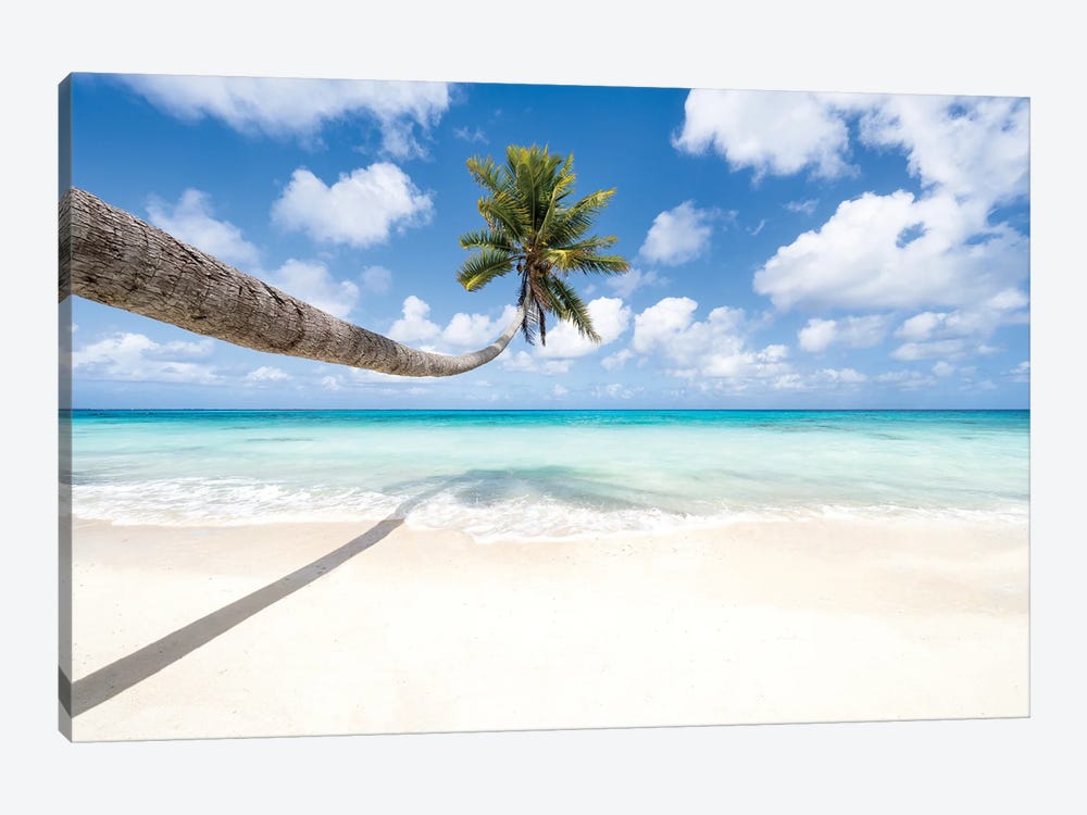 Hanging Palm Tree At The Beach by Jan Becke 1-piece Art Print