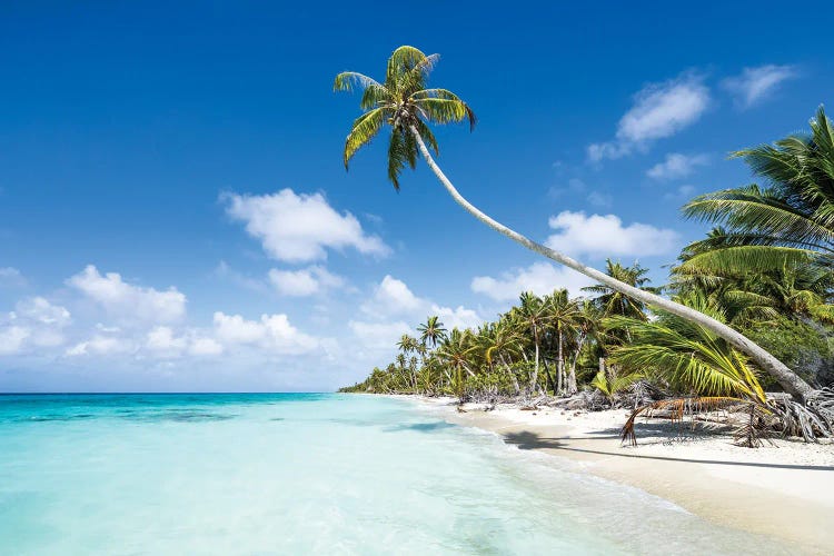 Tropical Beach On Fakarava, French Polynesia