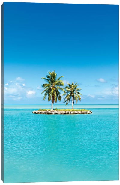 Small Tropical Island With Palm Trees Canvas Art Print - Tropical Beach Art