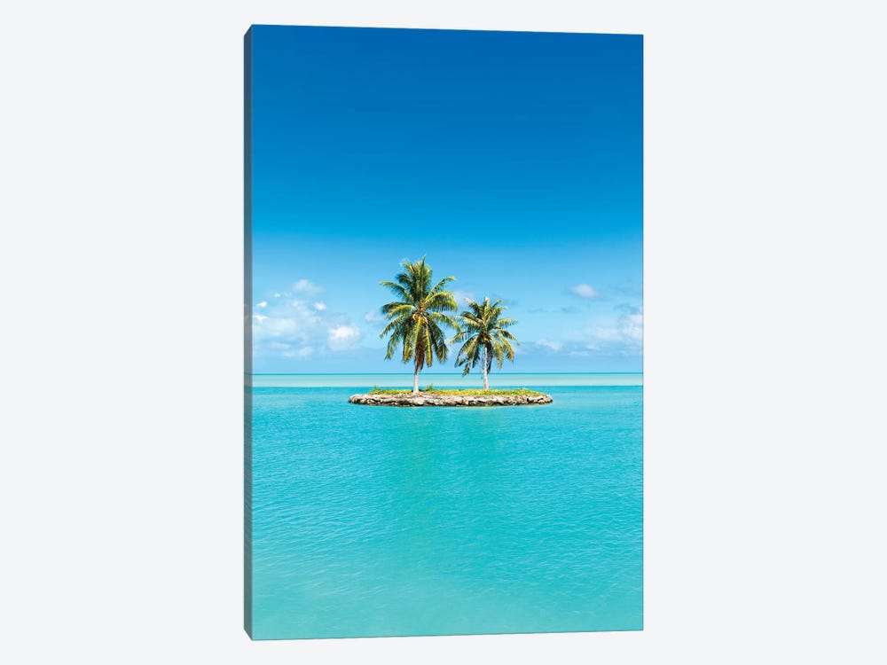 Small Tropical Island With Palm Trees by Jan Becke 1-piece Canvas Art Print