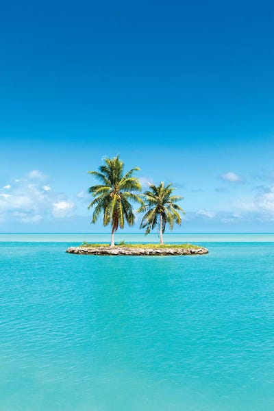 Small Tropical Island With Palm Trees