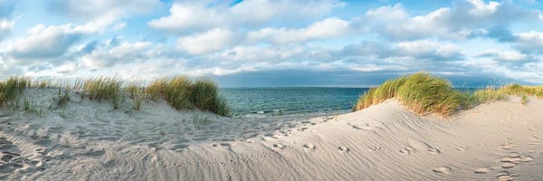 Sylt: Sand Dunes At The North Sea Coast, Germany by Jan Becke