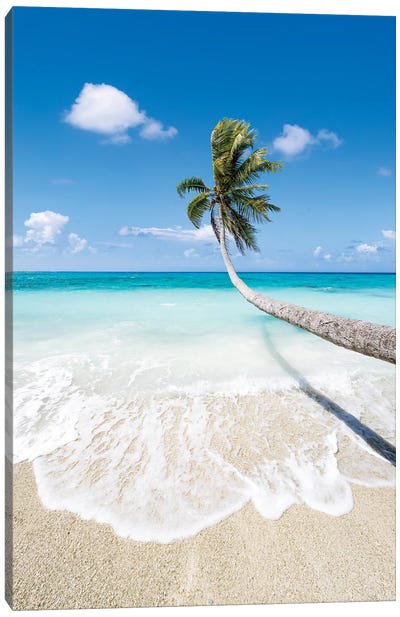 Hanging Palm Tree On A Beautiful Tropical Beach Canvas Art Print - French Polynesia