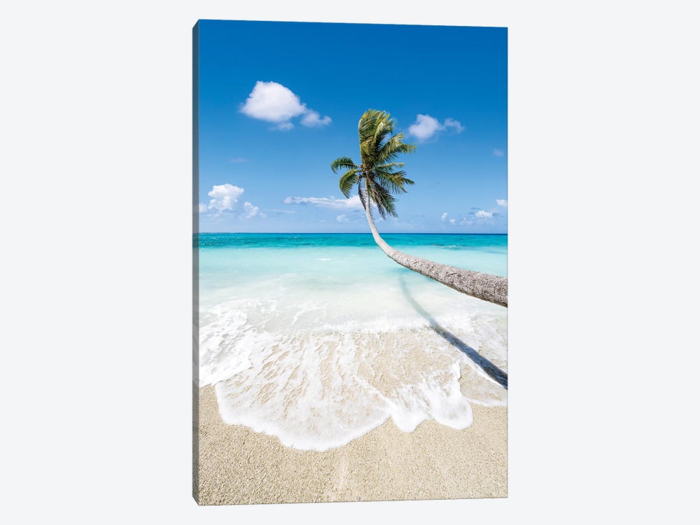 Hanging Palm Tree On A Beautiful Tropical Beach by Jan Becke 1-piece Canvas Art