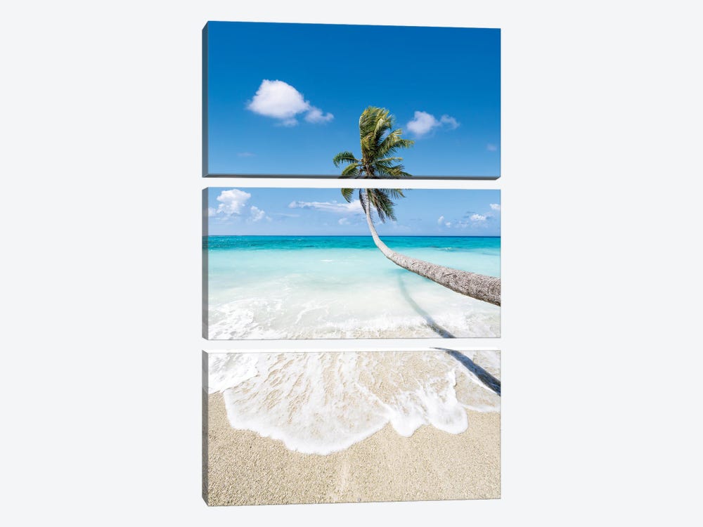 Hanging Palm Tree On A Beautiful Tropical Beach by Jan Becke 3-piece Canvas Art