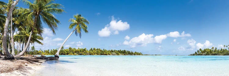 The Blue Lagoon On Fakarava, French Polynesia