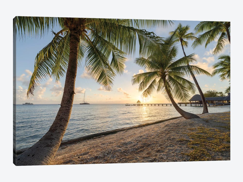Palm Beach Sunset, French Polynesia by Jan Becke 1-piece Canvas Art