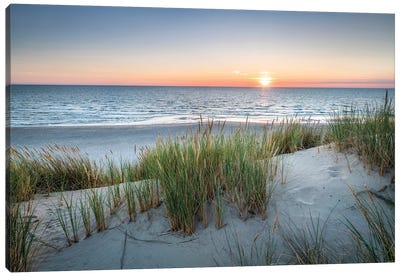 Sunset On The Dune Beach Canvas Art Print - Scenic & Landscape Art