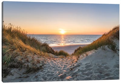 Dune Beach Sunset Canvas Art Print - Beach Sunrise & Sunset Art