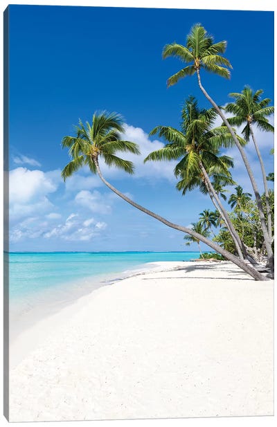 Coconut Trees At The Beach On Bora Bora Canvas Art Print - Sandy Beach Art