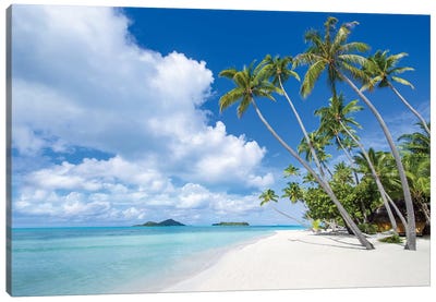 Palm Trees A The Beach, Bora Bora Atoll Canvas Art Print - Tropical Beach Art