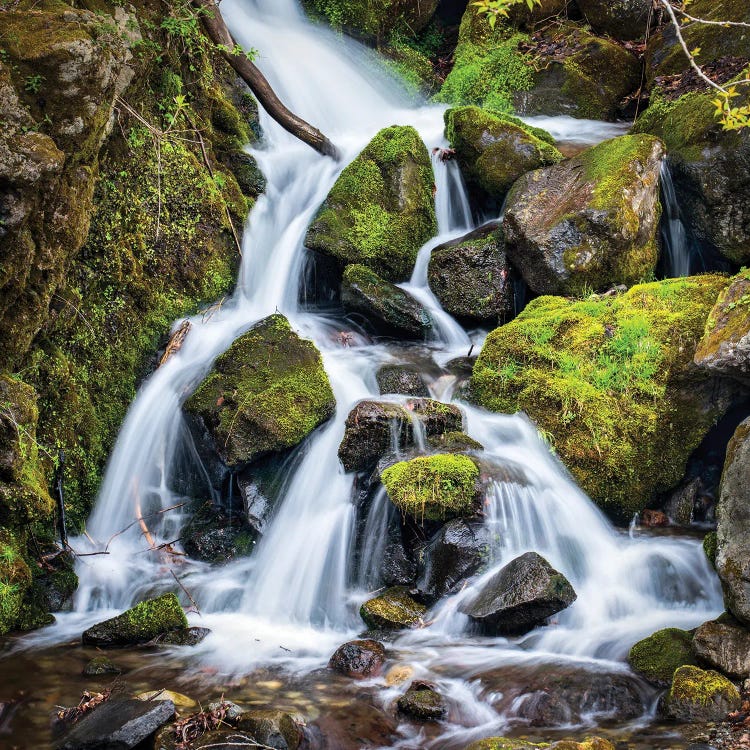 Relaxing Waterfall In The Forest