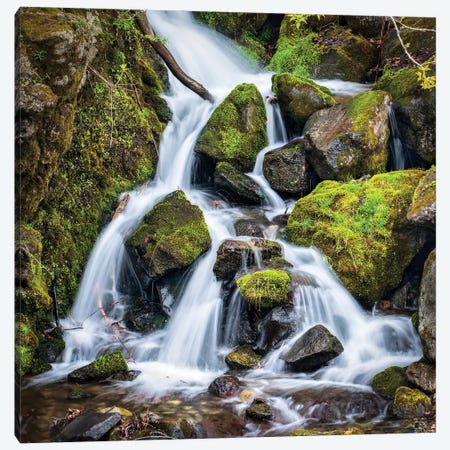 Relaxing Waterfall In The Forest Canvas Print #JNB1758} by Jan Becke Canvas Art