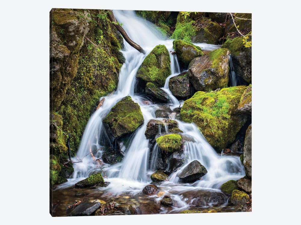 Relaxing Waterfall In The Forest by Jan Becke 1-piece Canvas Artwork
