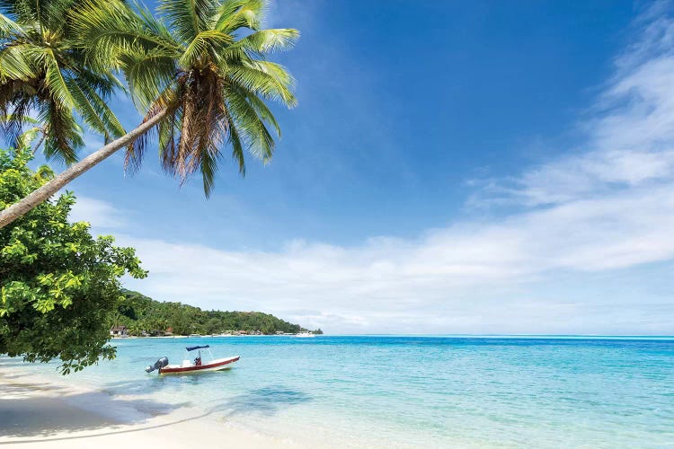 Idyllic Beach With Palm Trees And Boat On Bora Bora