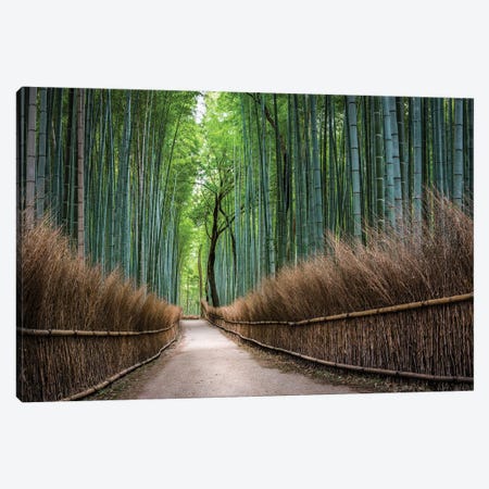 Green Arashiyama Bamboo Forest, Kyoto, Japan Canvas Print #JNB1761} by Jan Becke Art Print