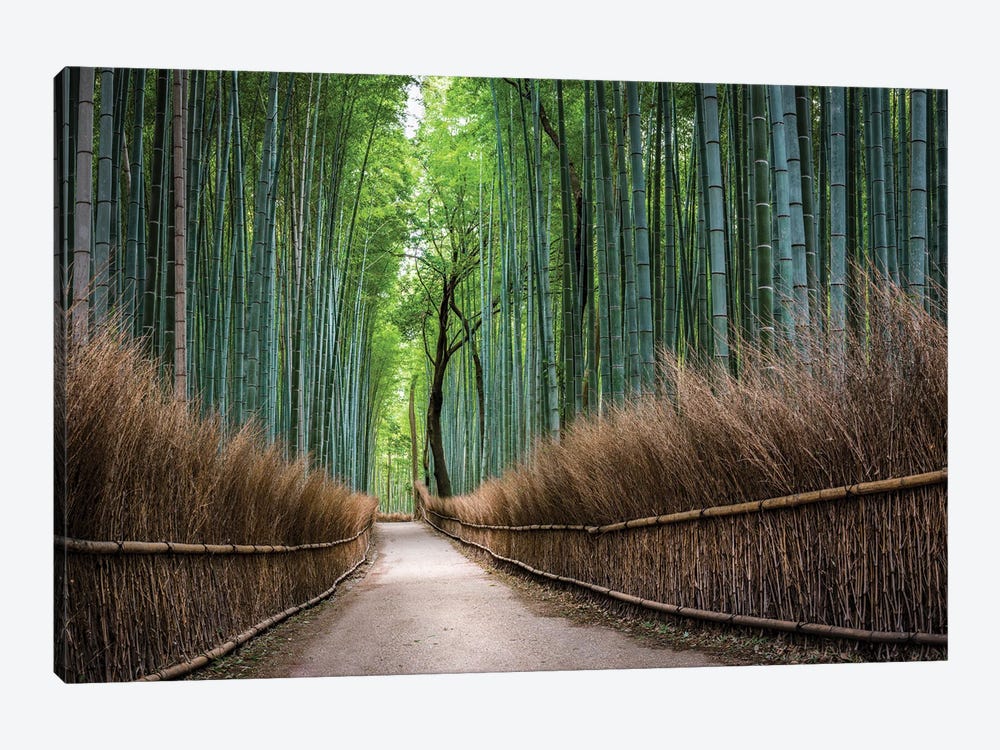 Green Arashiyama Bamboo Forest, Kyoto, Japan by Jan Becke 1-piece Canvas Artwork