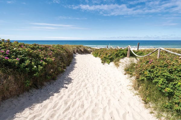 Coastal Sand Dunes: Path Through The Dunes Near Kampen, Sylt, Schleswig Holstein, Germany by Jan Becke