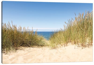 Dune Beach On A Sunny Day, North Sea Coast, Germany Canvas Art Print - Coastal Sand Dune Art