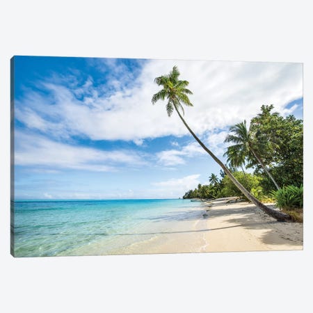 Palm Tree At The Beach On A Tropical Island In The South Sea Canvas Print #JNB176} by Jan Becke Canvas Artwork