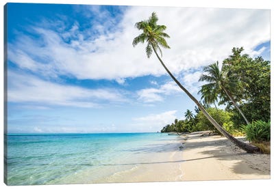 Palm Tree At The Beach On A Tropical Island In The South Sea Canvas Art Print - French Polynesia Art