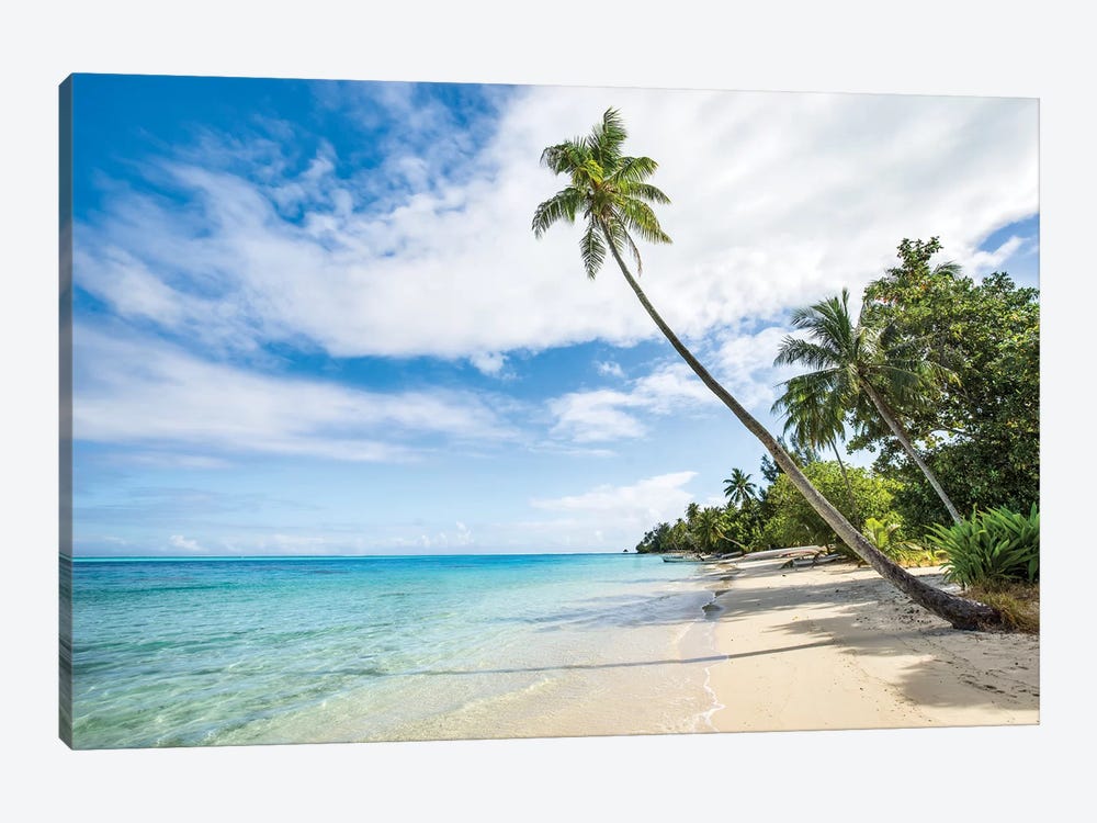 Palm Tree At The Beach On A Tropical Island In The South Sea by Jan Becke 1-piece Art Print