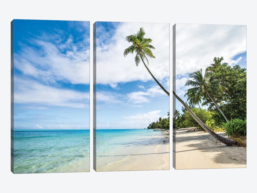 Palm Tree At The Beach On A Tropical Island In The South Sea by Jan Becke 3-piece Art Print